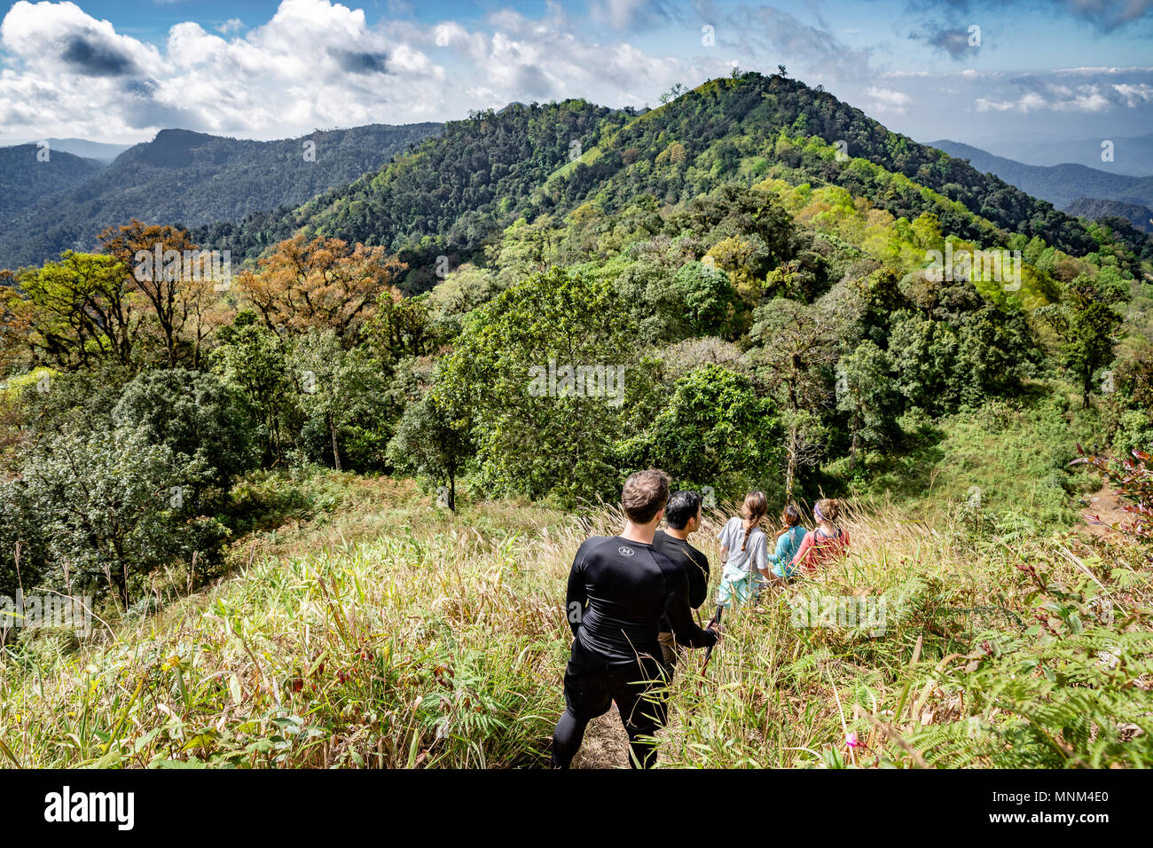 Trekker Rückkehr vom Gipfel des Doi Lanka Luang (2031 m), 8. höchsten Thailand's Peak, in Khun Chae Nationalpark (อุทยานแห่งชาติขุนแจ) in Northe Stockfoto