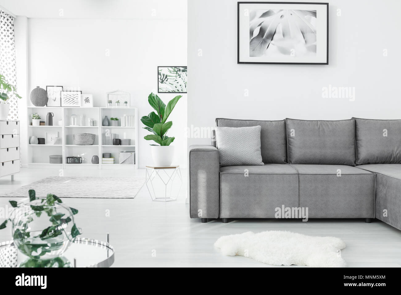 Raum Salon Interieur mit einem grauen Ecksofa, Pflanzen und weiße Regale im Hintergrund öffnen Stockfoto