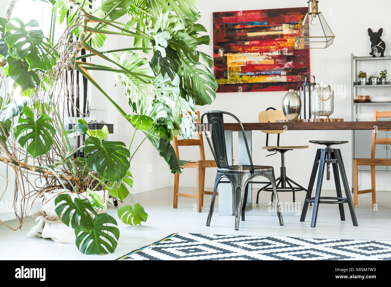 Modernes, weißes Esszimmer mit monstera Pflanze und Kabel Lampe Stockfoto