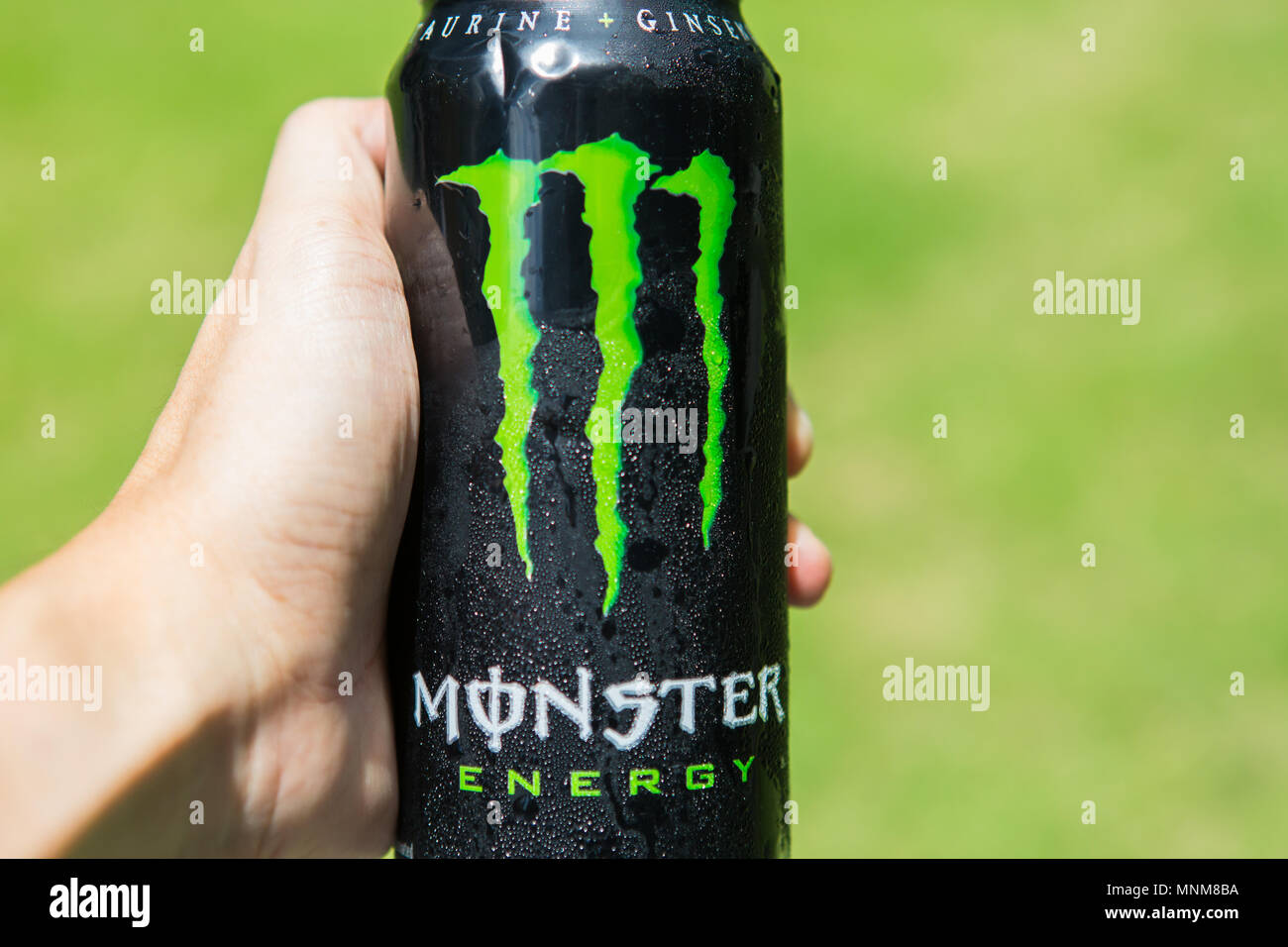Eine Menschenhand hält an einem Monster Energy Drink Vor einem grünen Hintergrund Stockfoto