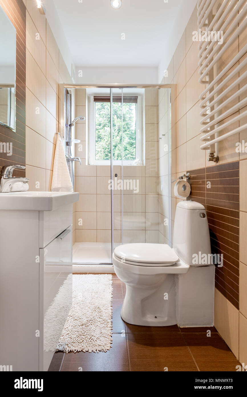 Kleines Badezimmer Einrichtung in Braun mit Fenster, Wc, Dusche und Waschbecken Stockfoto