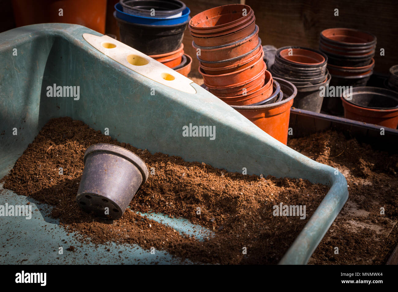 Kompost füllen Fach in einem Gartenhäuschen mit Pfählen aus Kunststoff Blumentöpfe Stockfoto