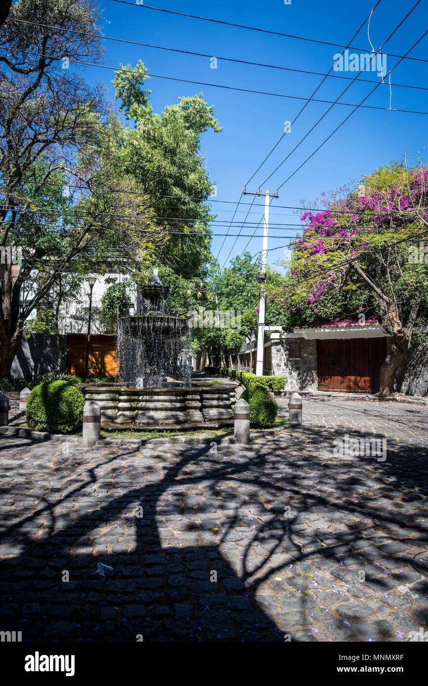 Vornehme Wohngegend Chimalistac-San Angel, Mexiko City, Mexiko Stockfoto