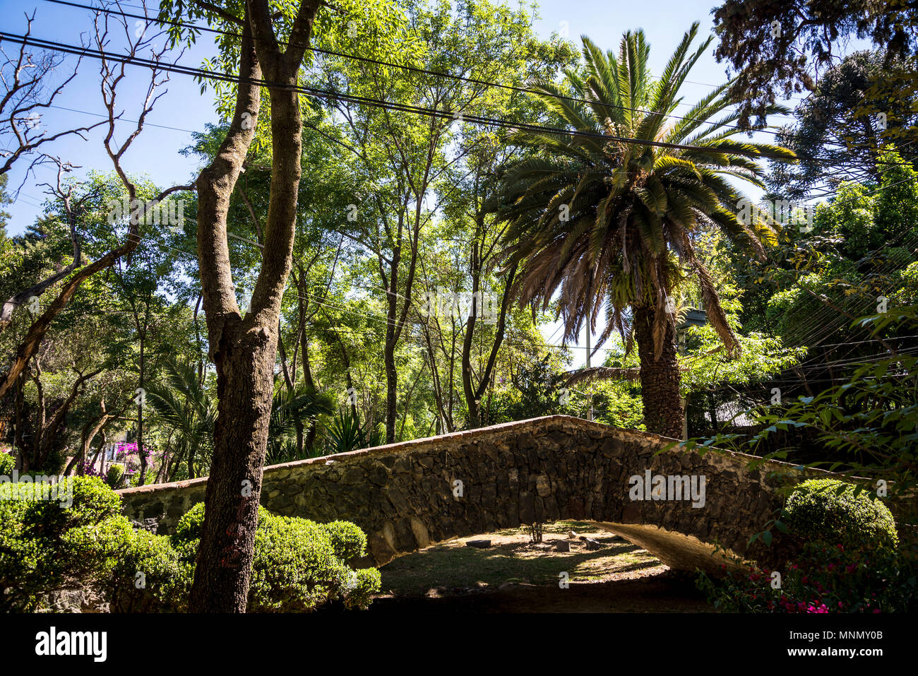 Vornehme Wohngegend Chimalistac-San Angel, Mexiko City, Mexiko Stockfoto