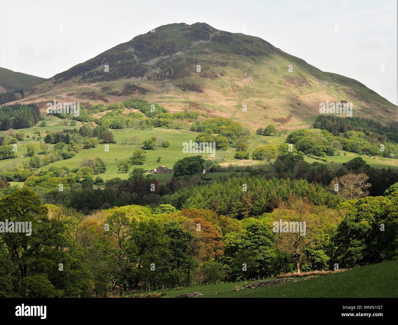 Niedrige fiel und die Loweswater Valley, Lake District National Park, Cumbria, Vereinigtes Königreich Stockfoto