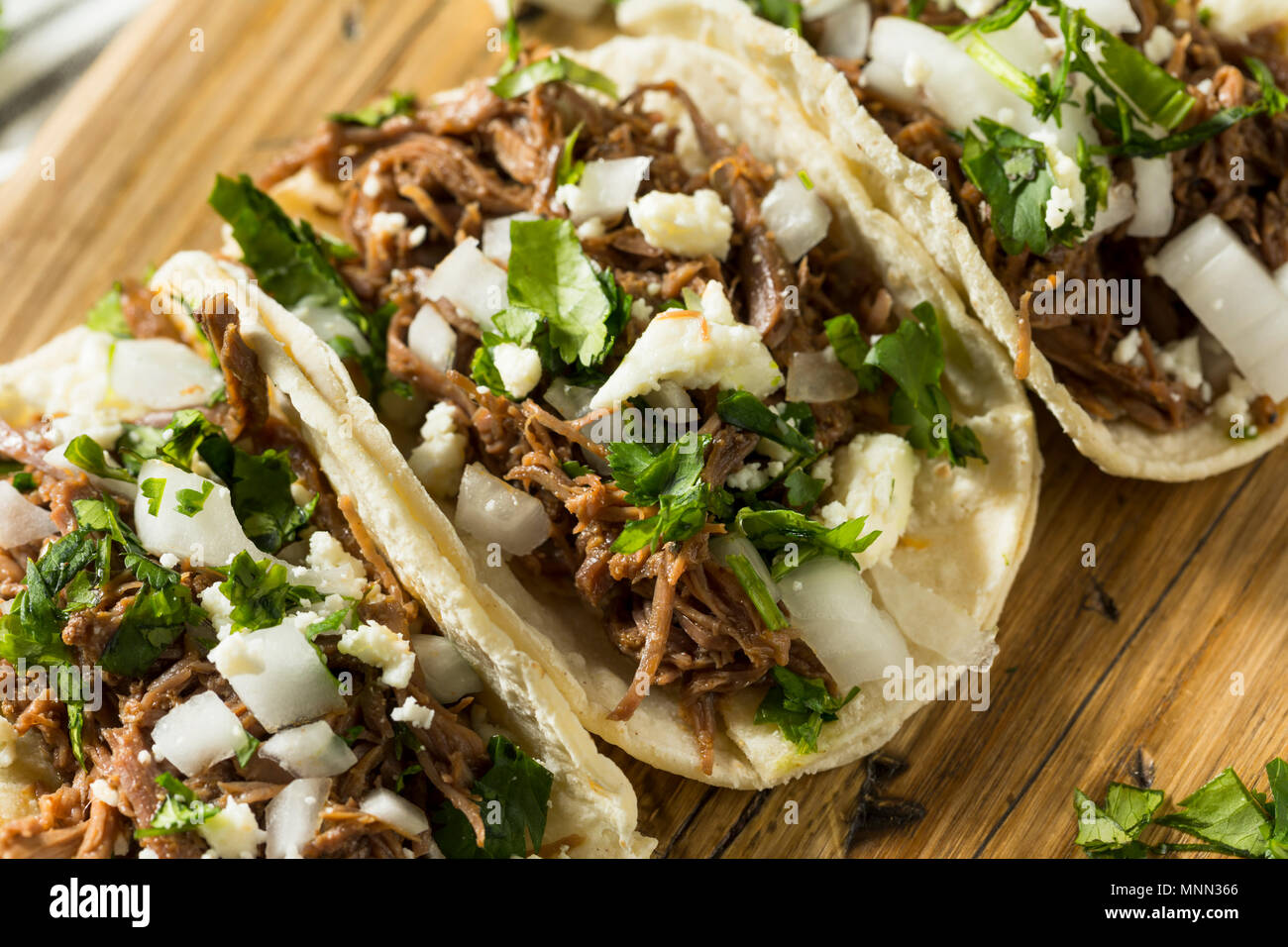 Pikante hausgemachte Rindfleisch Barbacoa Cilantro Tacos mit Käse und Zwiebeln Stockfoto