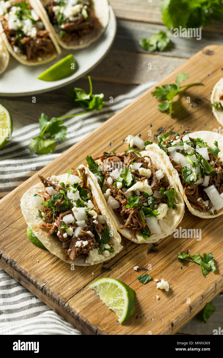 Pikante hausgemachte Rindfleisch Barbacoa Cilantro Tacos mit Käse und Zwiebeln Stockfoto