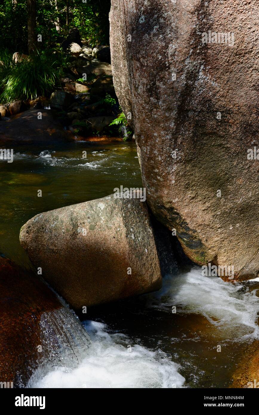 Wasser fließt durch einen natürlichen Bach, Jourama Falls, Bruce Hwy, Yuruga QLD, Australia Stockfoto