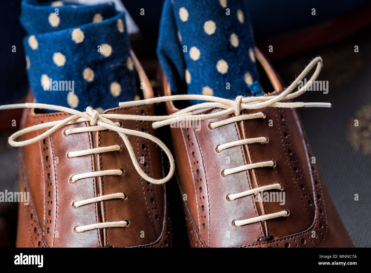 Leder Herren neue braune Schuhe closeup noch leben isoliert mit blauen Socken Polka Dot, Schnürsenkel Schnürsenkel gebunden, Hochzeit oder Interview Vorbereitung im Zimmer Stockfoto
