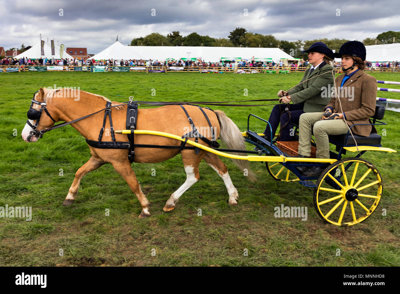 Pony und Trap an Equestrian Anzeige an Stokesley zeigen, North Yorkshire, England, Großbritannien Stockfoto