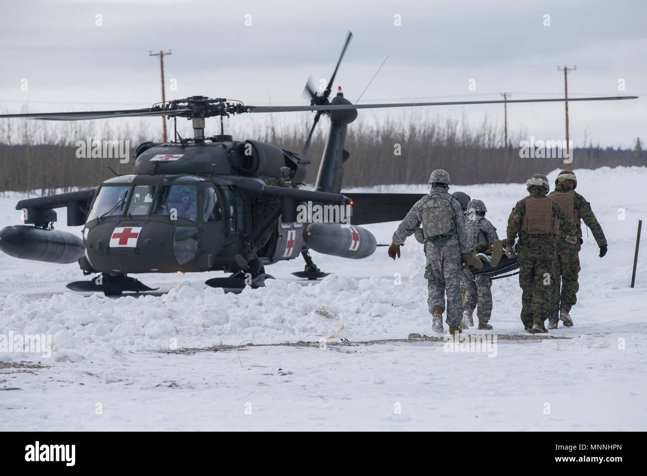 Marines mit Combat Logistik Regiment 25, 2. Marine Logistics Group, und Soldaten mit 21 Infanterie Regiment, 25 Infanterie Division, einem simulierten Unfall an Bord eine Armee UH-60 Black Hawk Hubschrauber mit 1St Battalion, 52nd Aviation Regiment während der Übung Arctic Edge 18, am Fort Greely, Alaska, 15. März 2018. Arctic Edge18 ist eine Biennale, groß angelegte, gemeinsame - Training, Vorbereitung und Tests, die Fähigkeit des US-Militärs taktisch in der extremen Kälte - Wetter in arktischen Umgebungen mit mehr als 1500 Teilnehmern aus der Luftwaffe, Heer, Küste Guar gefunden zu bedienen Stockfoto