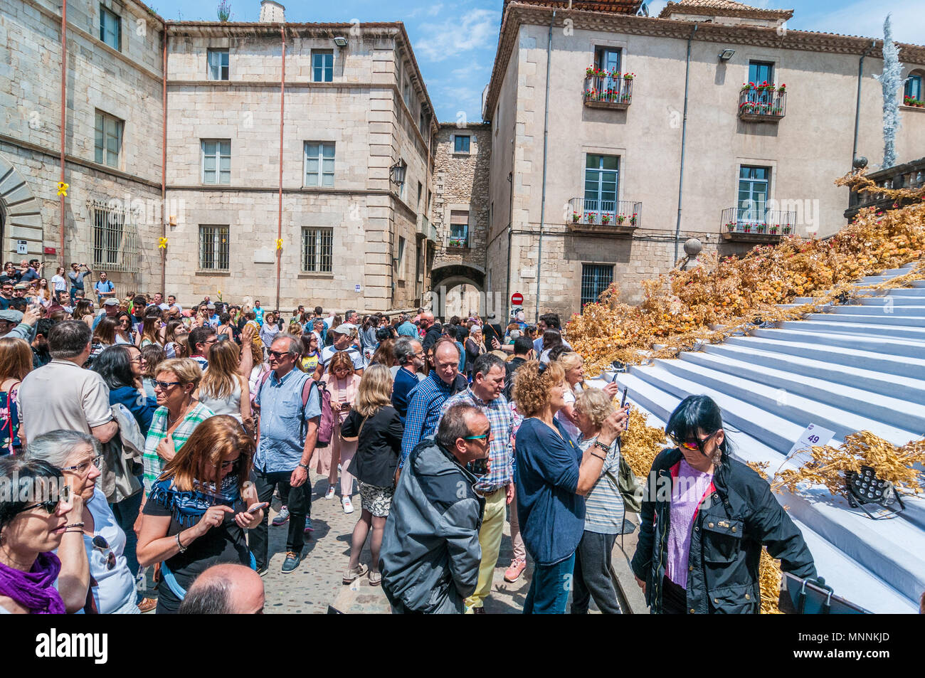 Leute suchen, selfies, Blumenschmuck, die Kathedrale von Girona, jährliche Flower Festival "Temps de Flors 2018", Girona, Katalonien, Spanien Stockfoto