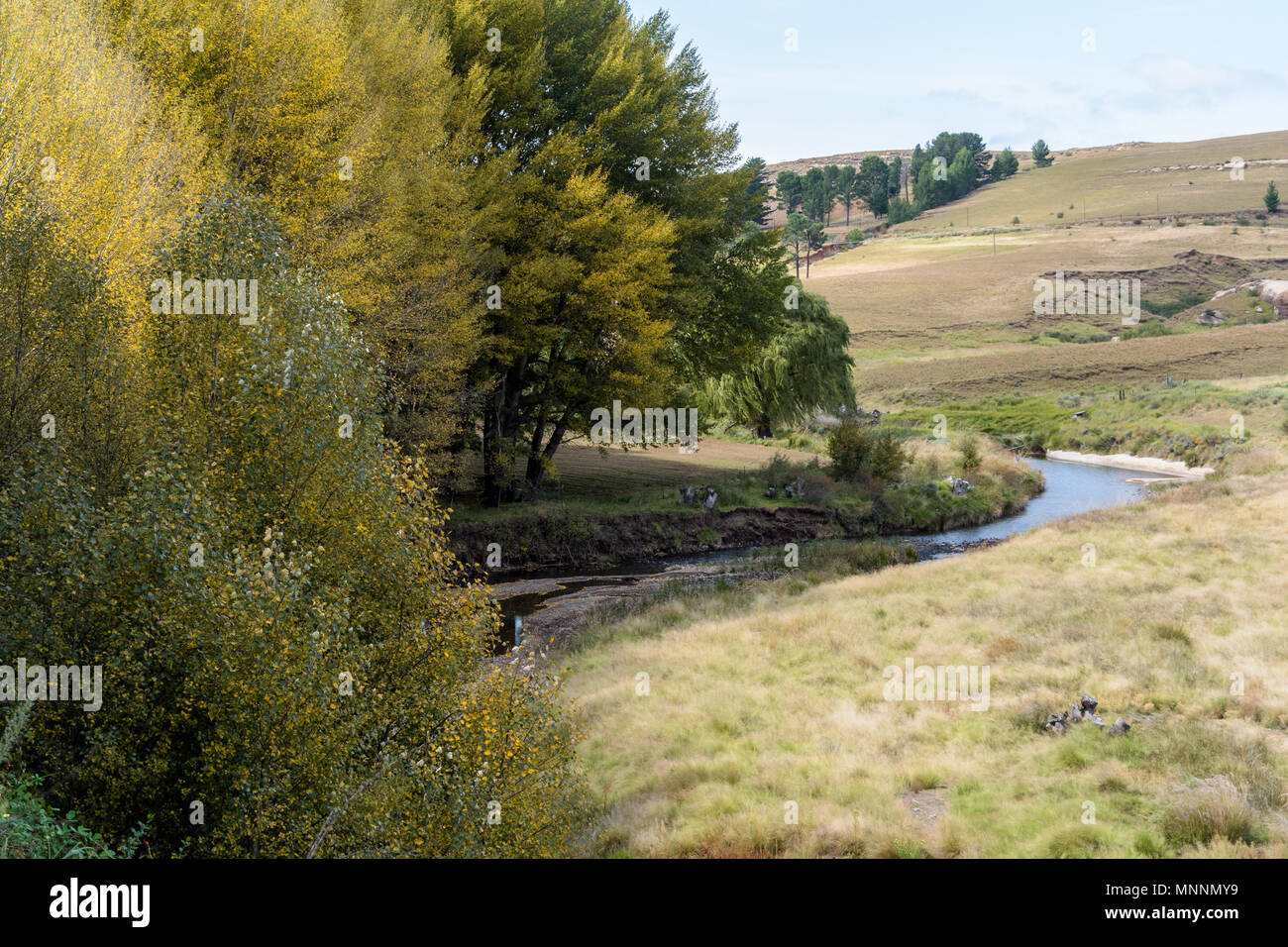 Herbstlaub und Fluss Stockfoto