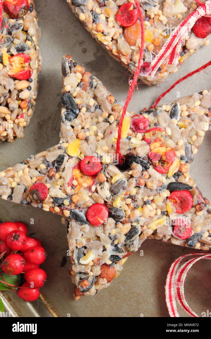 Schritt für Schritt 5/7: Winter berry Futterhäuschen mit Ausstecher. Sorgfältig Fräser und Zweige entfernen. Hinzufügen ribbon oder Garn Kuchen von Baum hängen Stockfoto