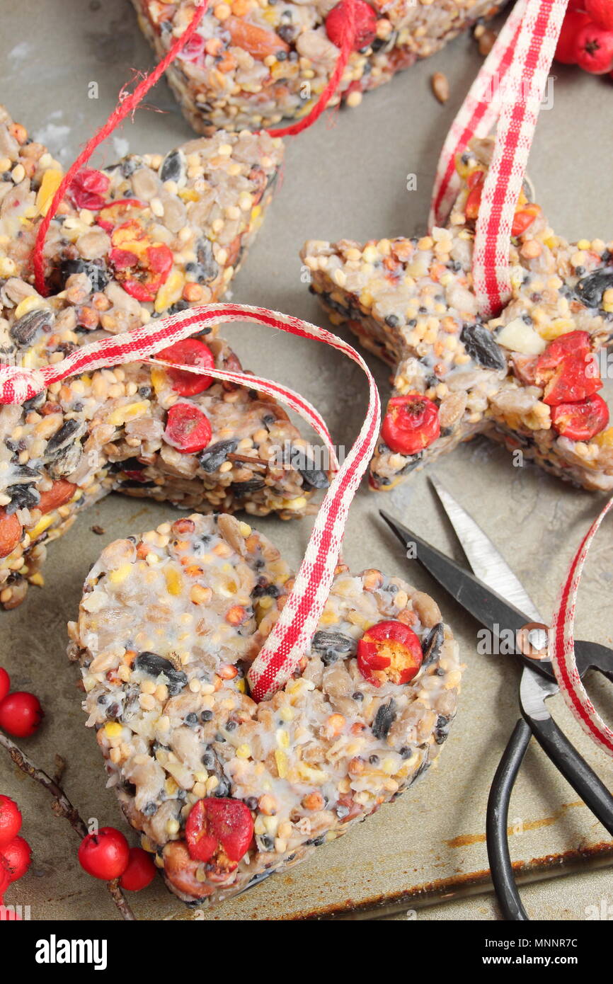 Schritt für Schritt 5/7: Winter berry Futterhäuschen mit Ausstecher. Sorgfältig Fräser und Zweige entfernen. Hinzufügen ribbon oder Garn Kuchen von Baum hängen Stockfoto