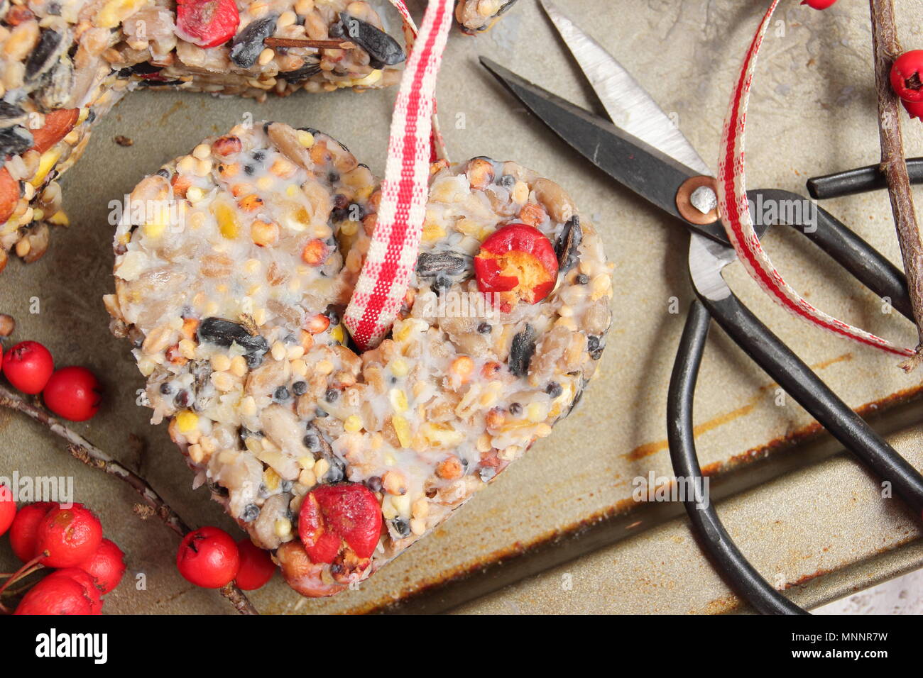 Schritt für Schritt 5/7: Winter berry Futterhäuschen mit Ausstecher. Sorgfältig Fräser und Zweige entfernen. Hinzufügen ribbon oder Garn Kuchen von Baum hängen Stockfoto