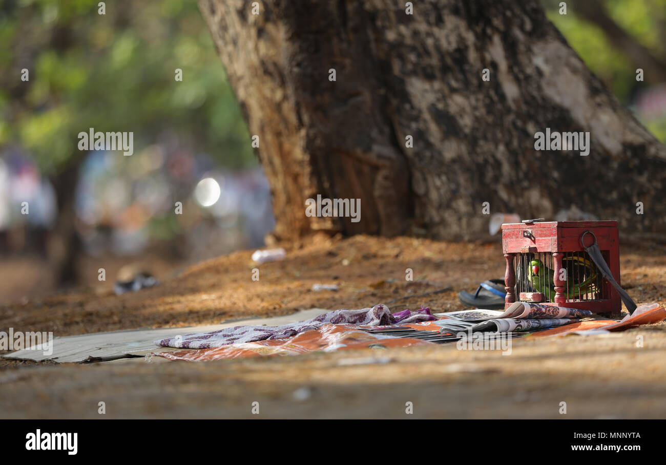 Das Leben von Einsamkeit Stockfoto