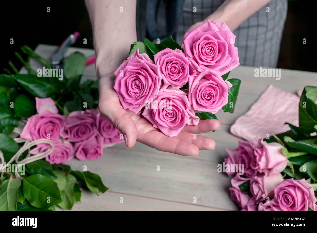 Anmutige weibliche Hände sammeln ein Blumenstrauß aus Rosen. Florist bei der Arbeit Stockfoto