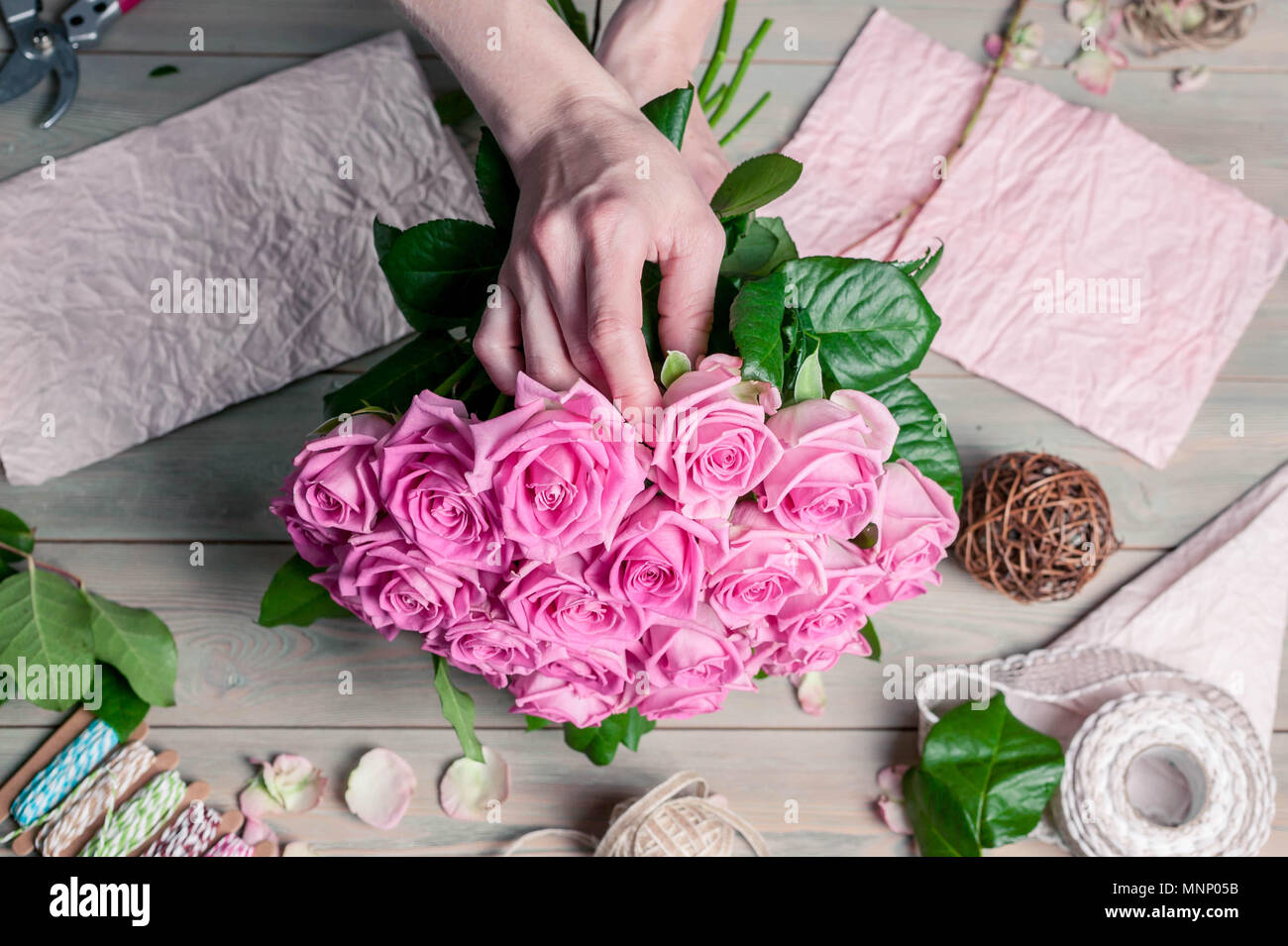 Anmutige weibliche Hände sammeln ein Blumenstrauß aus Rosen. Florist bei der Arbeit Stockfoto