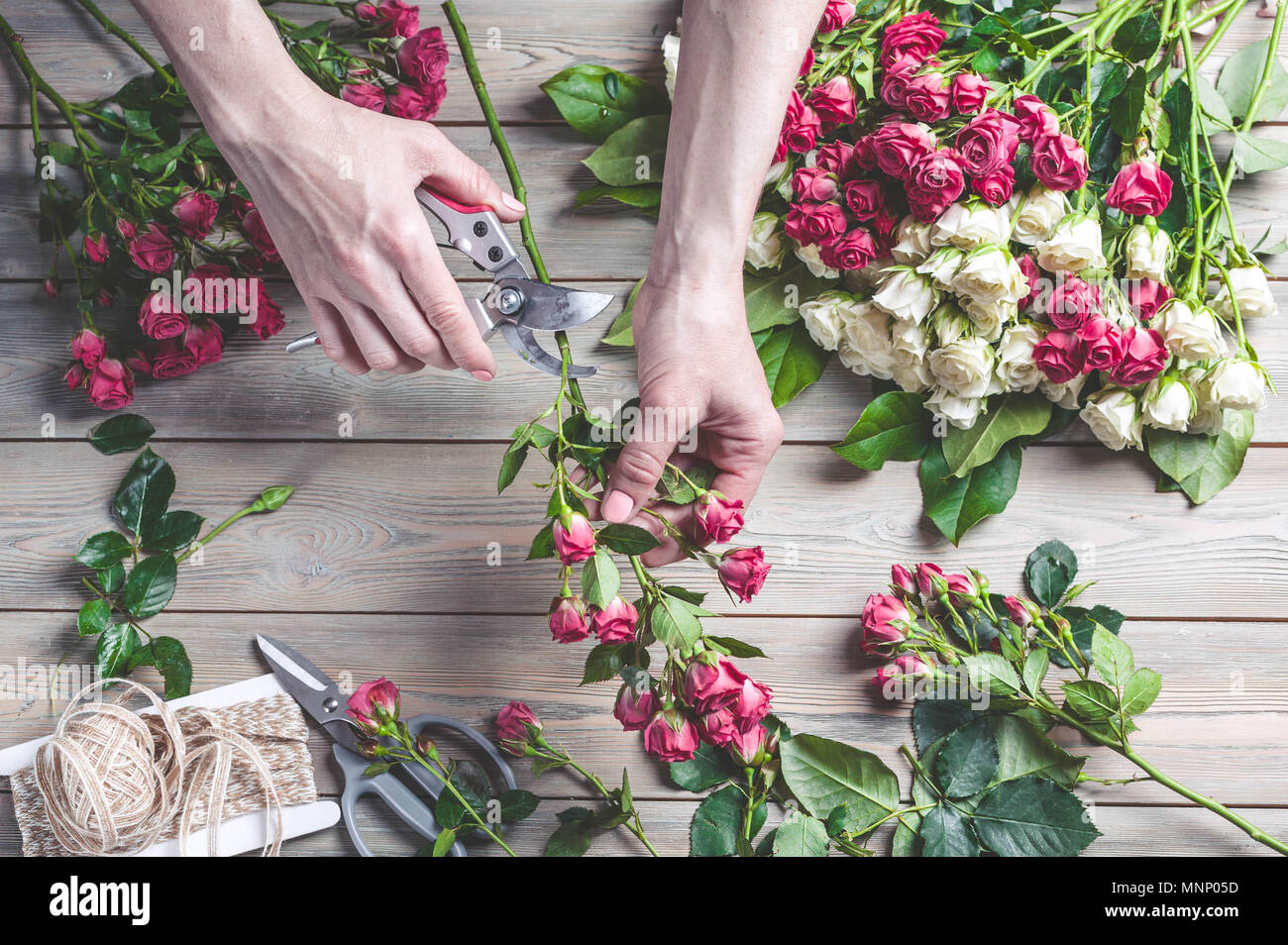 Florist bei der Arbeit. Weibliche Hände sammeln eine Hochzeit Strauß Rosen. Die Menschen in den Prozess der Arbeit Stockfoto