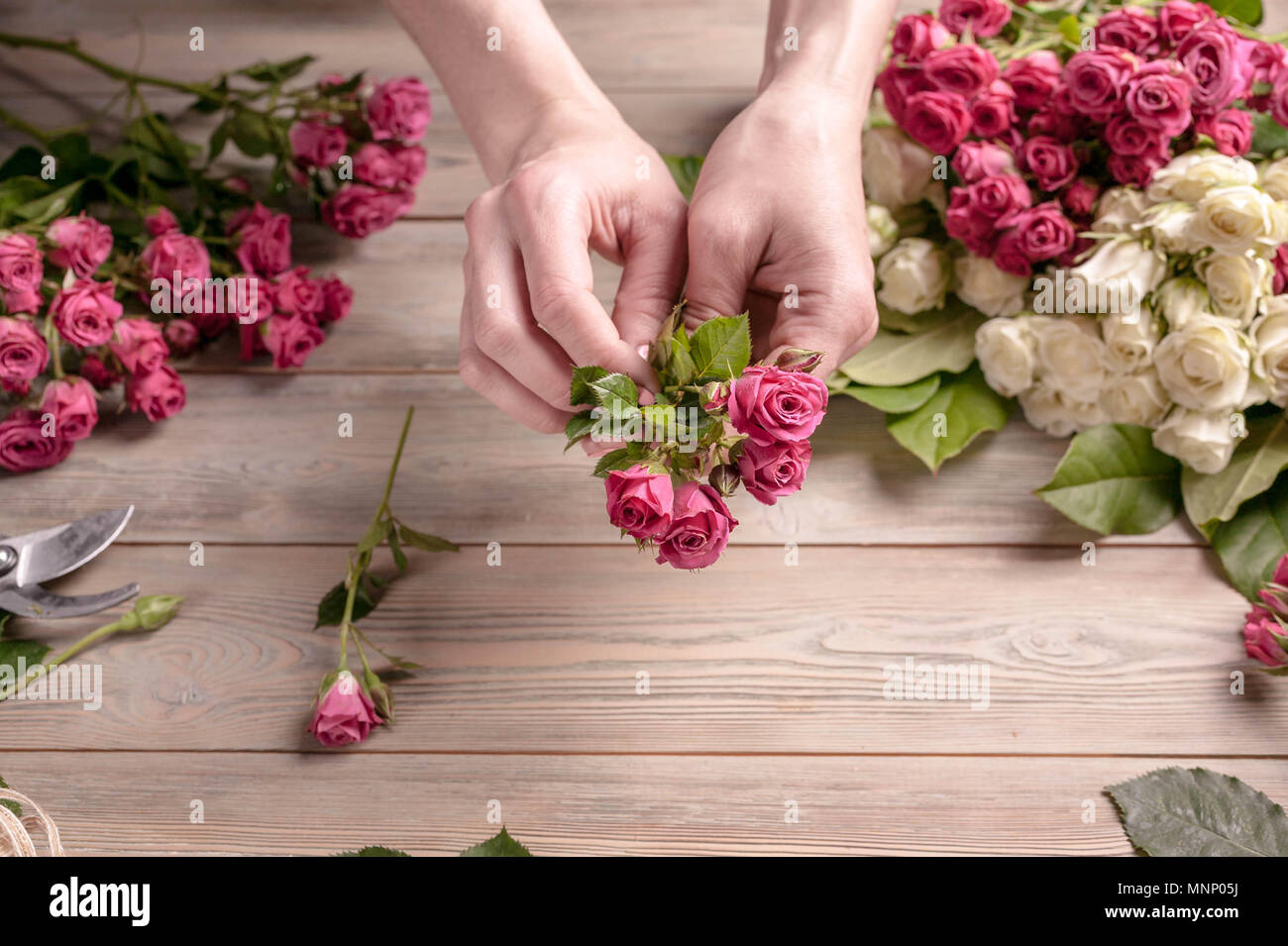 Florist bei der Arbeit. Weibliche Hände sammeln eine Hochzeit Strauß Rosen. Die Menschen in den Prozess der Arbeit Stockfoto