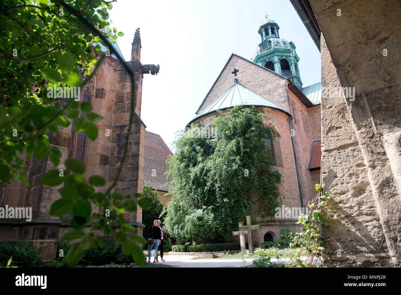 15. Mai 2018, Deutschland, Hildesheim: Die legendären 1000-jährige pedicle am Hildesheimer Dom. Der Bischof kündigte an, dass die Wild Rose Bush seine volle Blüte zu Pfingsten Wochenende erreichen wird. Nach der Befreiung, der Sohn Karls des Großen konnte nicht ein reliquiar aus der Rosen. Stattdessen befahl er eine Kapelle, die später in eine Kathedrale zu bauen. In der Tat sind Forscher haben nachgewiesen, dass das pedicle nicht älter als 700 Jahre sein könnte. Foto: Julian Stratenschulte/dpa Stockfoto