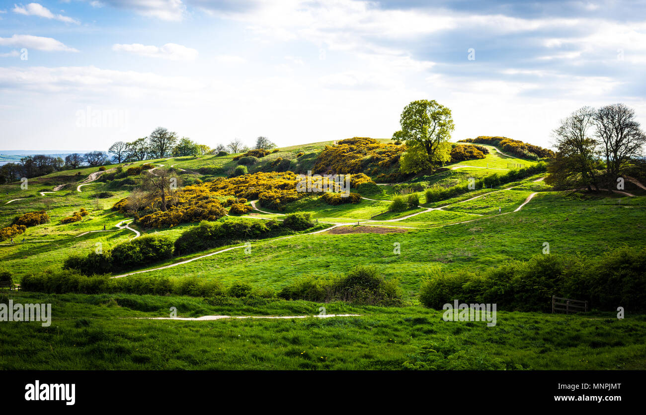 Hügel und Mountainbike-strecken der Hadleigh Park in der Nähe von Benfleet, Essex, Großbritannien Stockfoto