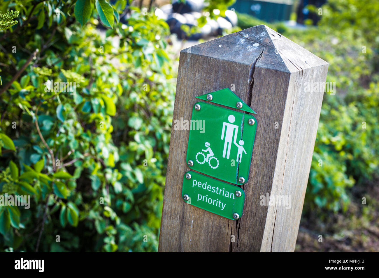 Nahaufnahme einer Fußgänger Vorrang Zeichen in einem britischen Park Stockfoto