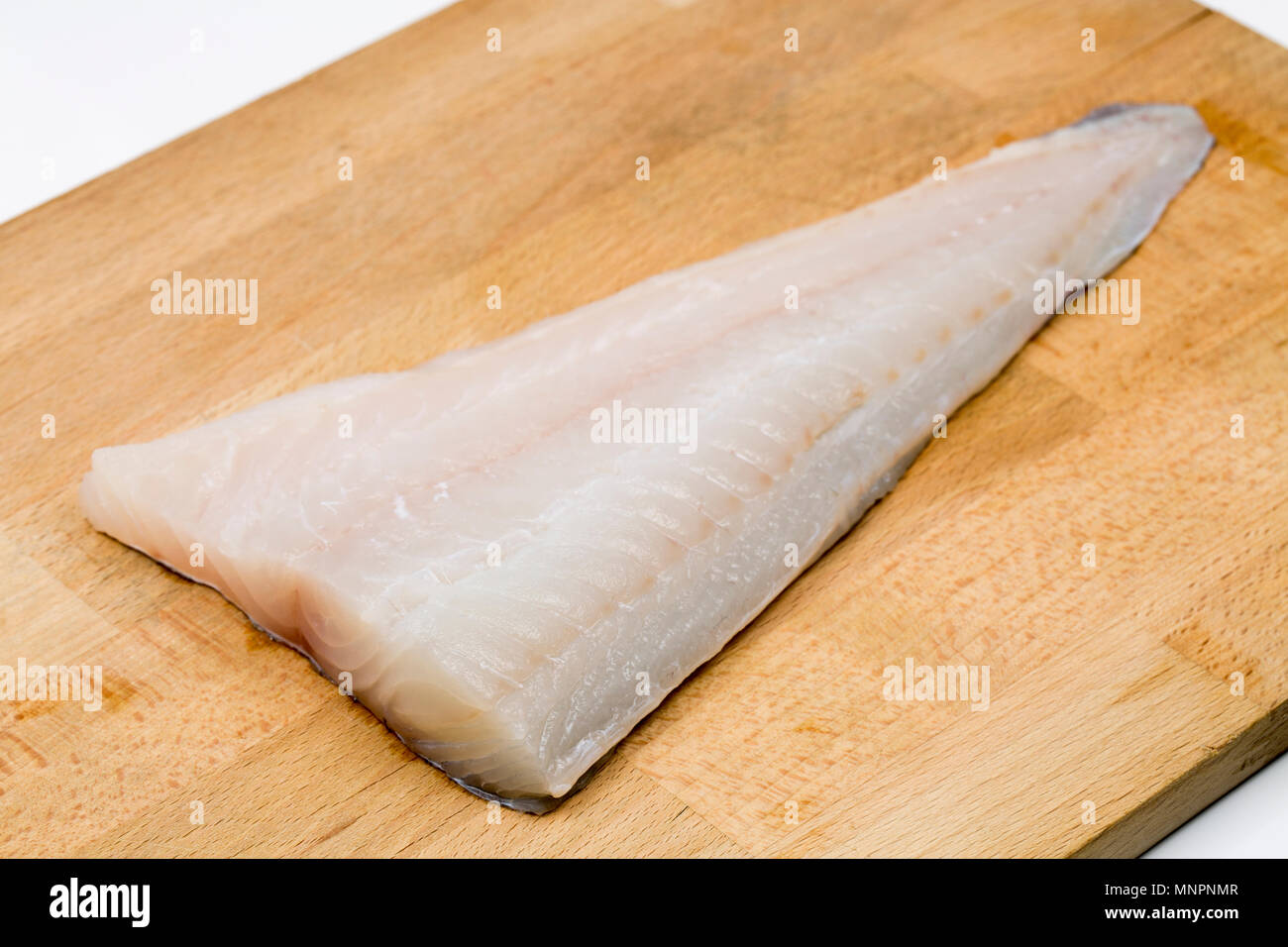 Eine Verrundung von Pollack Pollachius pollachius, die auf einen Köder mit Stab und Linie gefangen wurde von einem privaten Boot im Ärmelkanal vor der Küste von Do Stockfoto