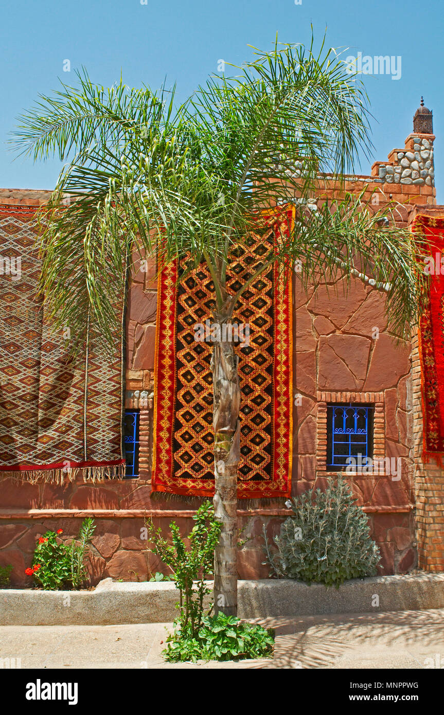 Eine Anzeige der bunten Teppich traditioal dekoriert in einem traditionellen Gebäude mit Palm Tree Stockfoto