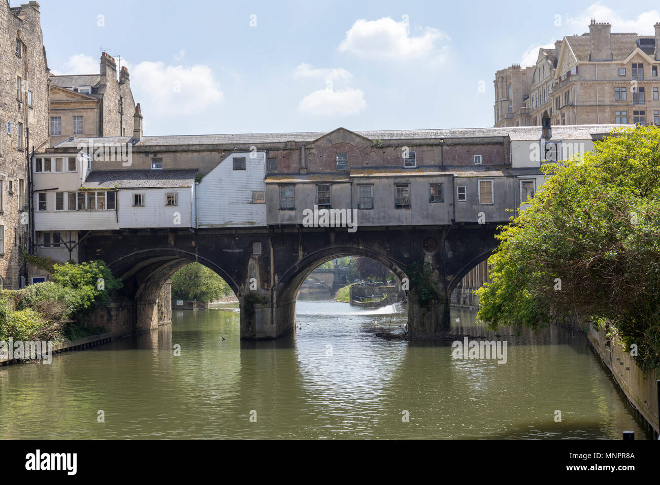 Die Nordseite der Pulteney Bridge, City of Bath, England, Großbritannien Stockfoto