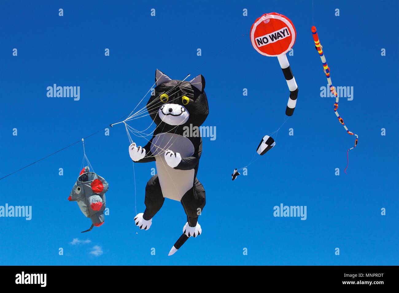 Drachen zeigen -Fotos und -Bildmaterial in hoher Auflösung – Alamy