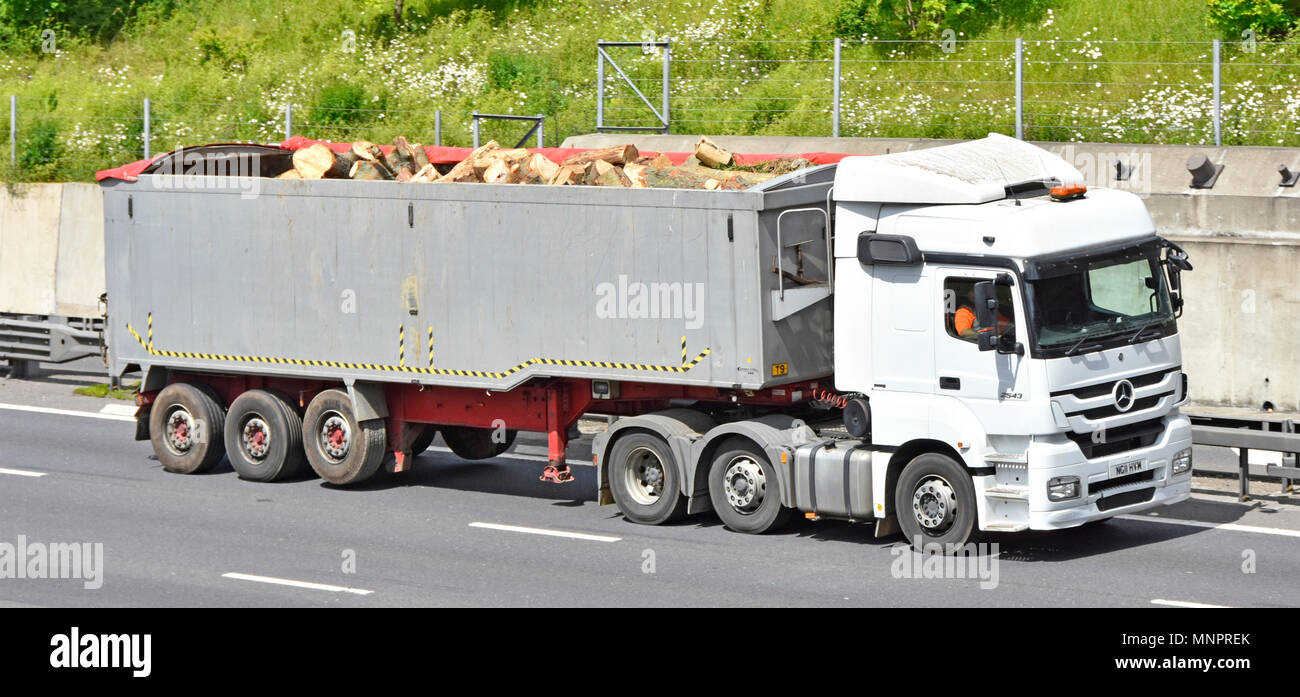 White LKW Business unmarkierter LKW-LKW & Fahrer Gelenktriebwagen Mülllast von kurzen Längen von Schnittholz Stamm Holzstämme fahren auf der britischen Autobahn Stockfoto