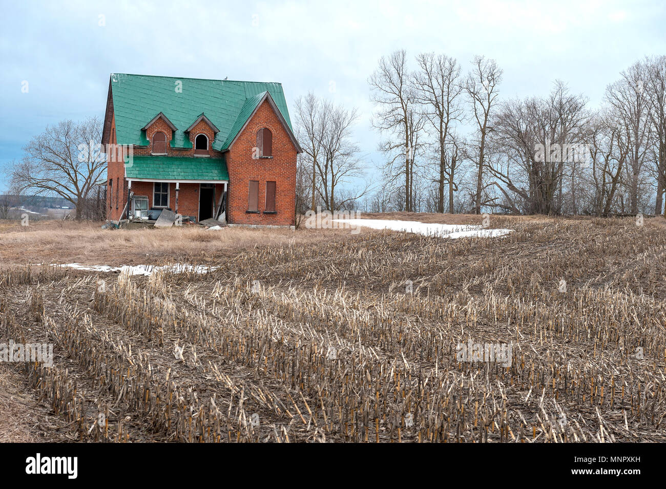 Verlassenes Haus in einem Feld der Maisstiele Stockfoto