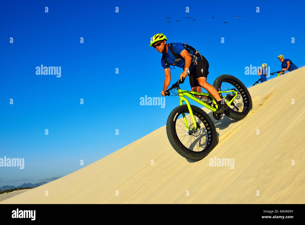 Radtour mit fatbikes am Die Plaat Strand, Naturschutzgebiet, De Kelders, Gansbaai, Western Cape, Südafrika Stockfoto