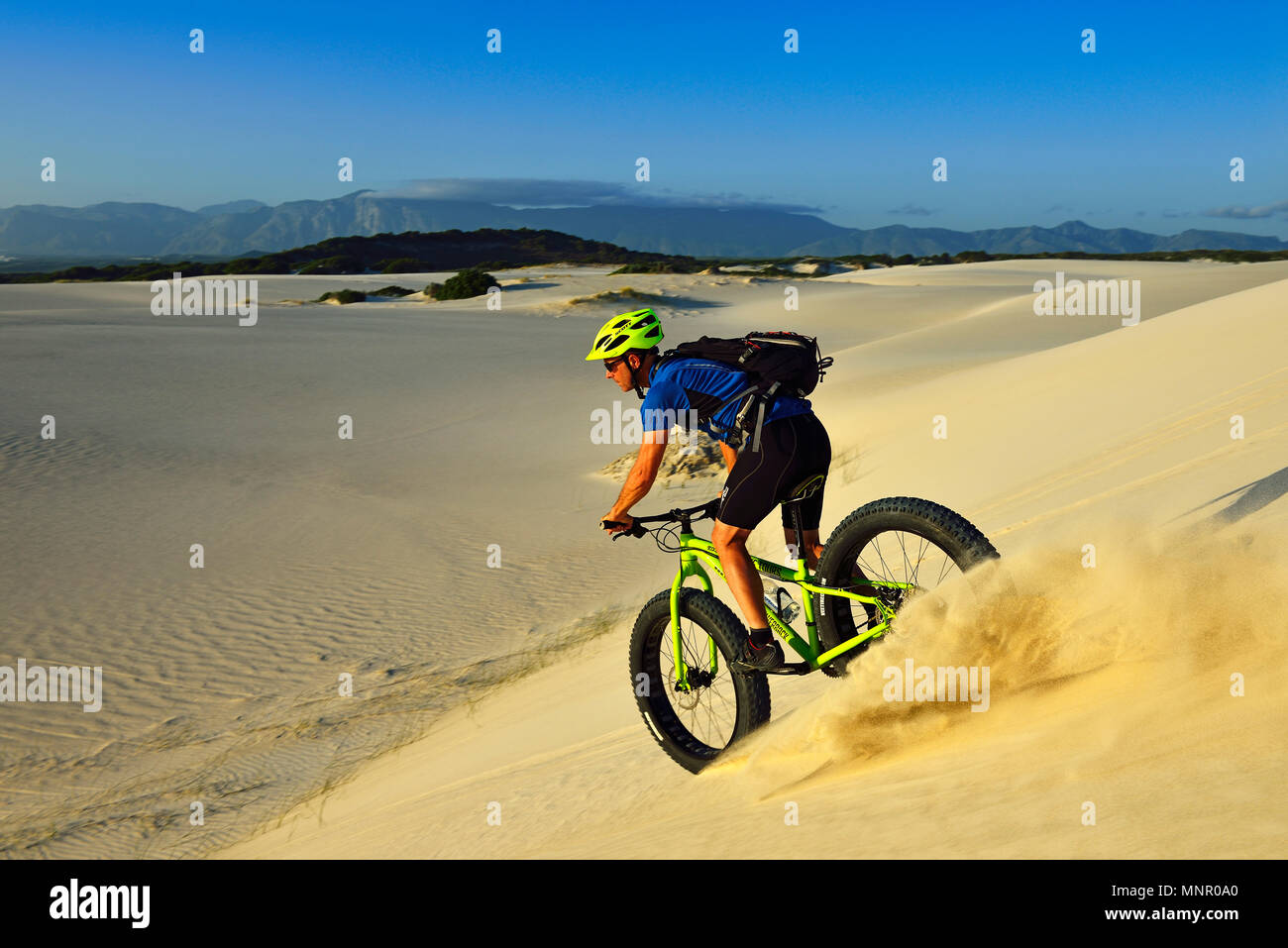Radtour mit fatbikes am Die Plaat Strand, Naturschutzgebiet, De Kelders, Gansbaai, Western Cape, Südafrika Stockfoto
