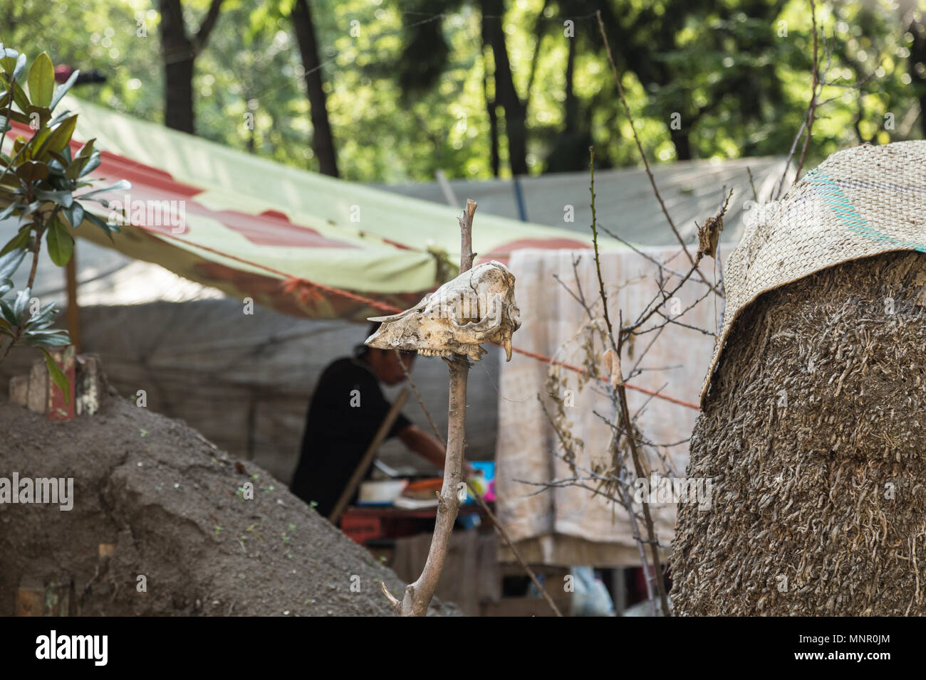 Fehlende iguala Studenten Fall Aktivist Campingplatz mit einem tierischen Schädel auf dem Erdhügel auf der Vorderseite abgesteckt wird, Mexiko City, Mexiko. Stockfoto