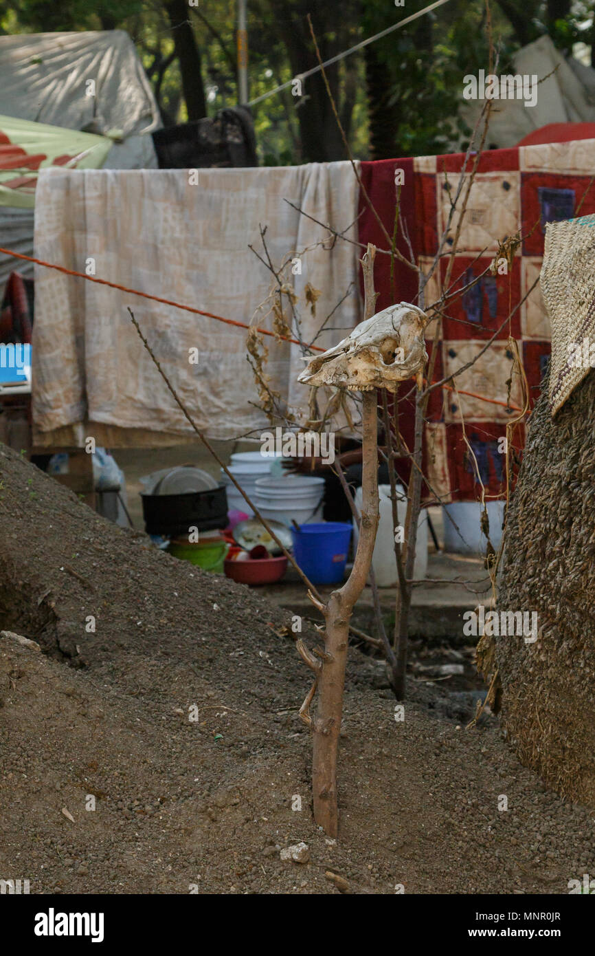 Fehlende iguala Studenten Fall Aktivist Campingplatz mit einem tierischen Schädel auf dem Erdhügel auf der Vorderseite abgesteckt wird, Mexiko City, Mexiko. Stockfoto