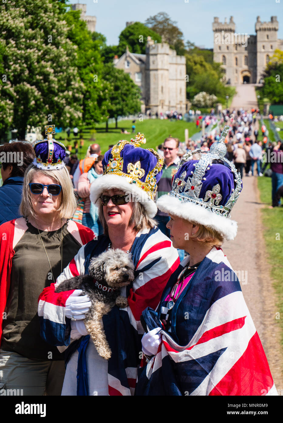 Drei Royalisten, königliche Hochzeit 2018, den langen Weg, Schloss Windsor, Windsor, Berkshire, England, UK, GB. Stockfoto
