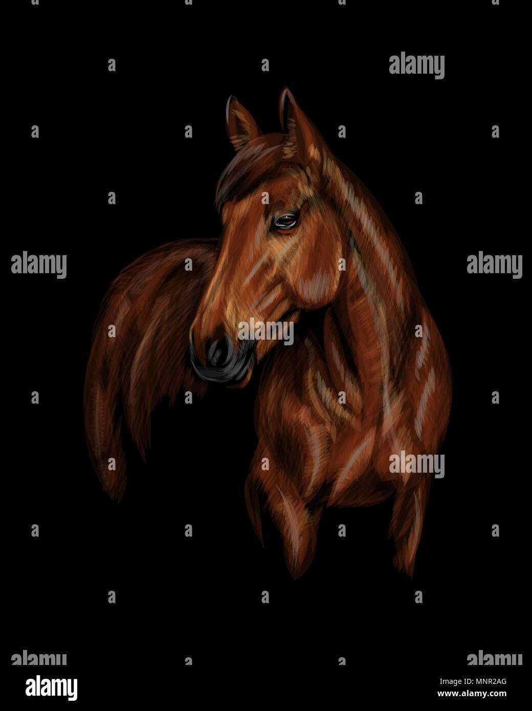 Porträt des Pferdes auf dem schwarzen Hintergrund Stock Vektor