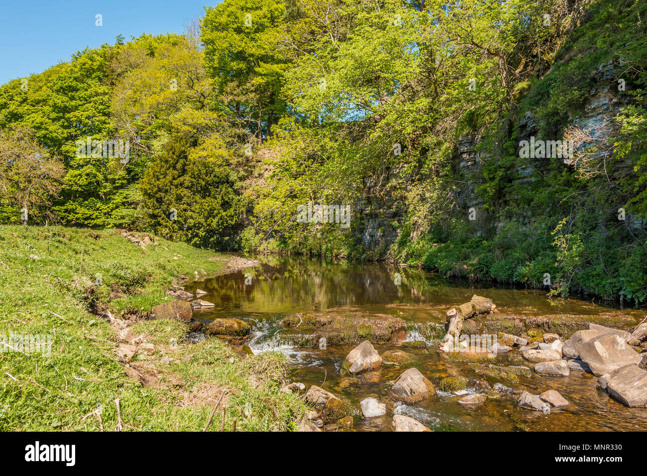 North Pennines Landschaft, eine ruhige Szene in der Frühlingssonne auf den Oberlauf des Flusses Greta in der Nähe von Bowes, Teesdale, Großbritannien Stockfoto