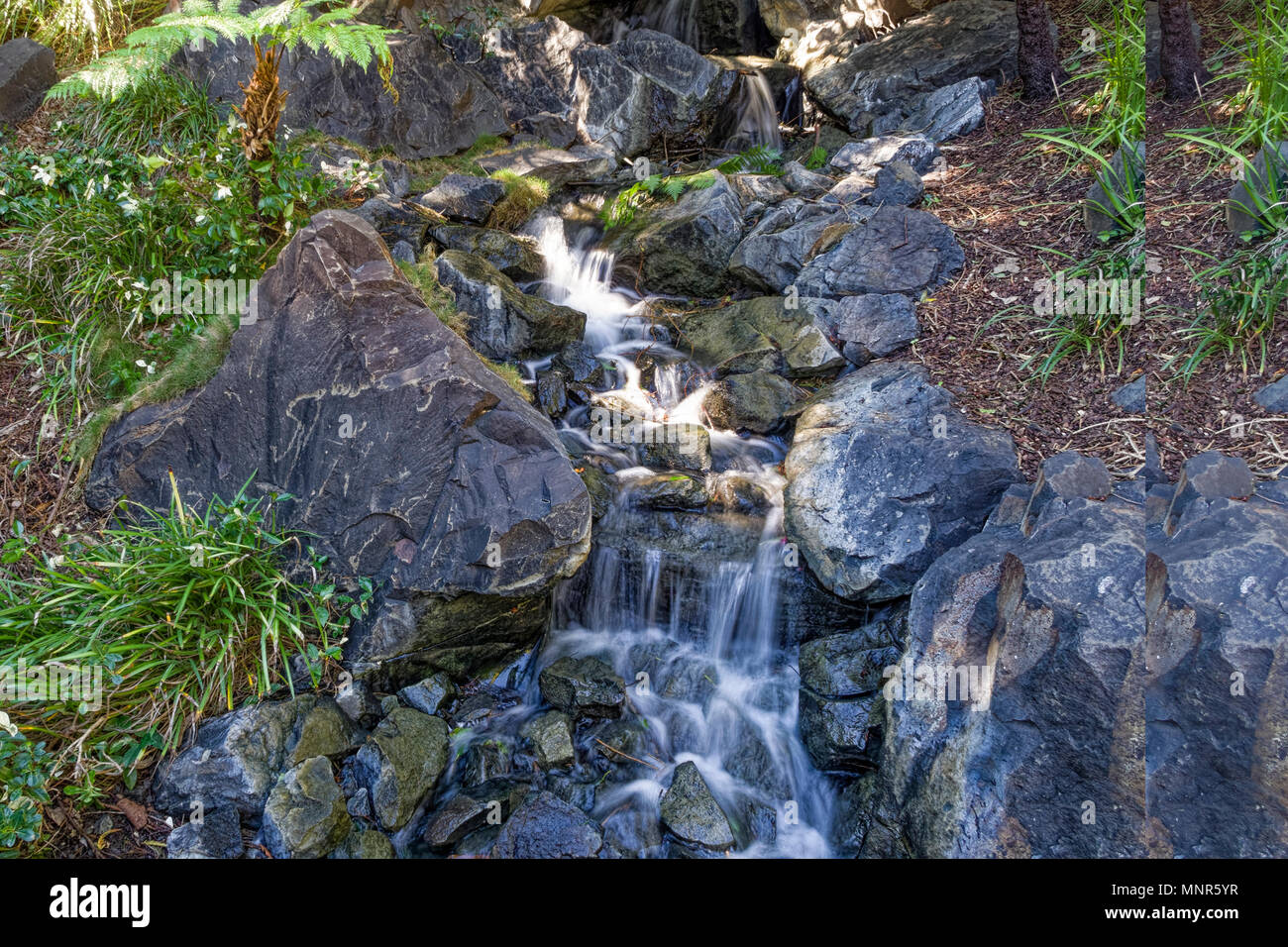 In der Japanischen Gärten in Ipswich versteckt diese schöne fließt fast unbemerkt von der Öffentlichkeit, wie Sie schlendern durch. Stockfoto