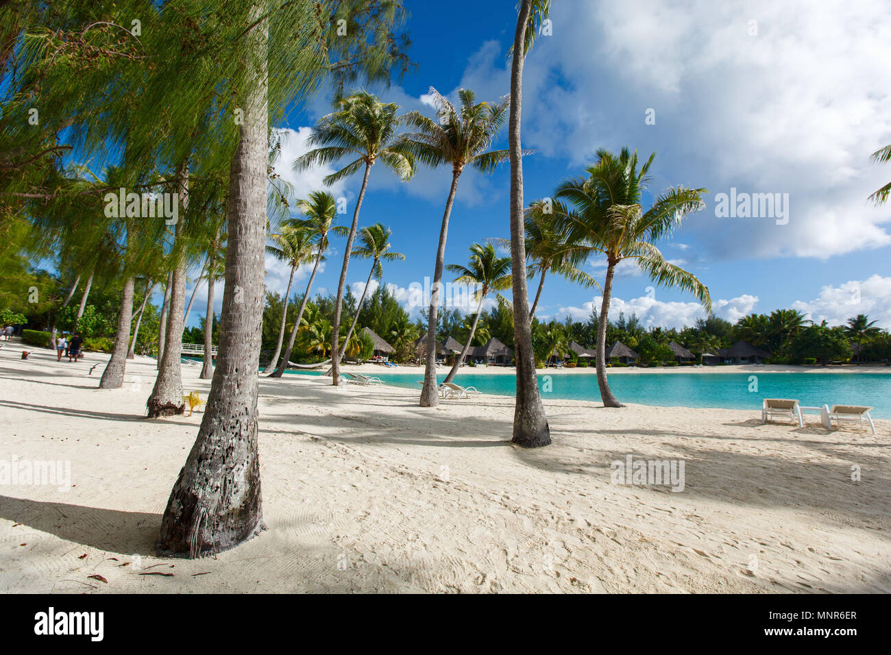 Schöner Strand mit Kokospalmen auf der Insel Bora Bora in Französisch-Polynesien Stockfoto