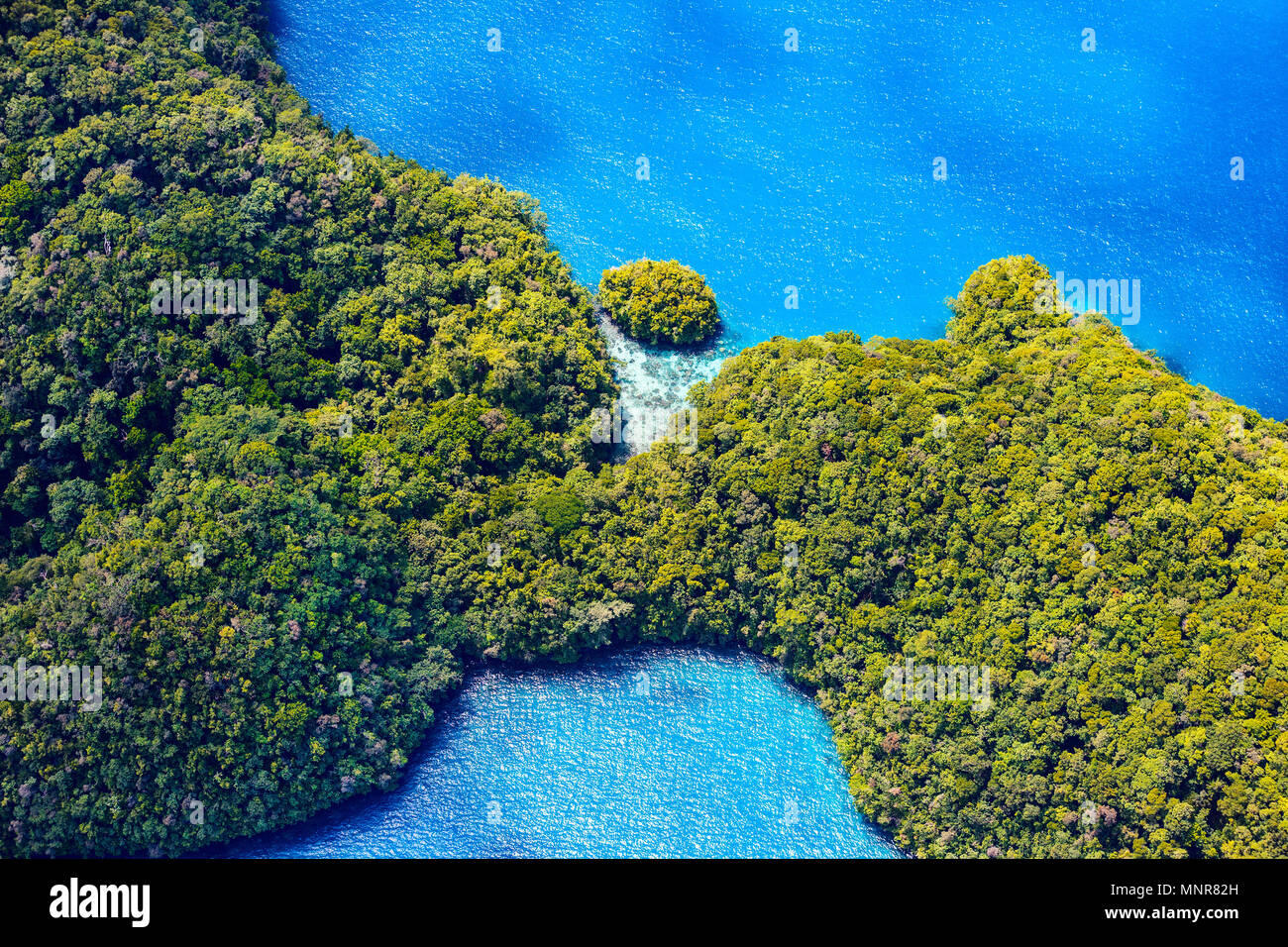 Schöne Aussicht von Palau Inseln von oben Stockfoto