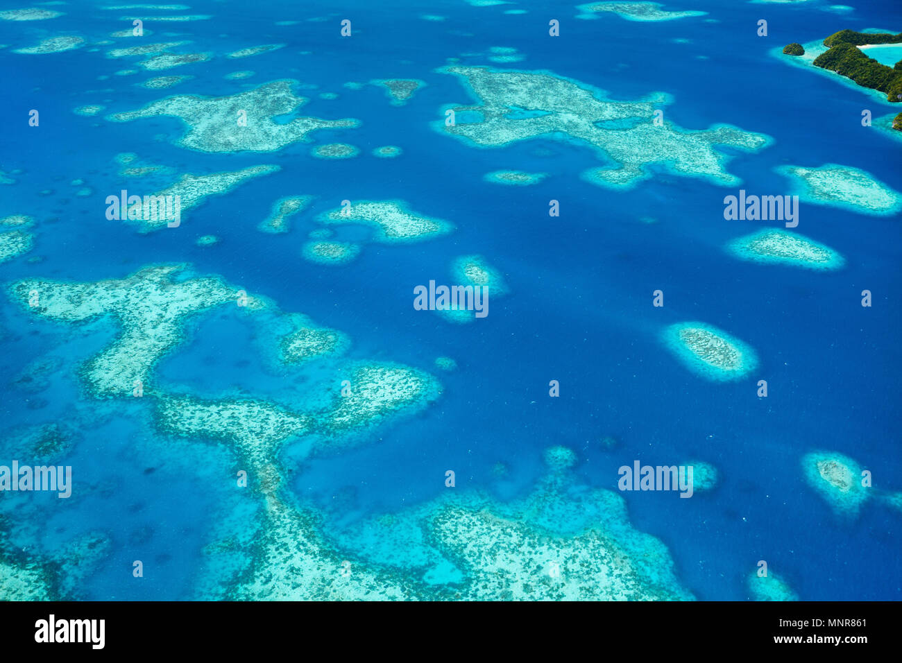 Schöne Aussicht von Palau Inseln und Riffs von oben Stockfoto