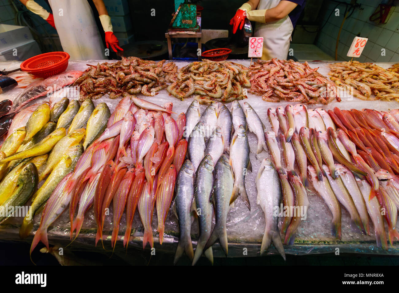 Frischer Fisch, Seafood Market in Hong Kong Stockfoto