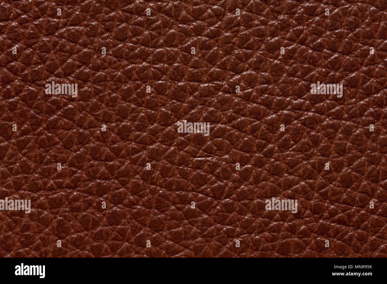 Teure leder Textur in idealer braun Ton. Stockfoto