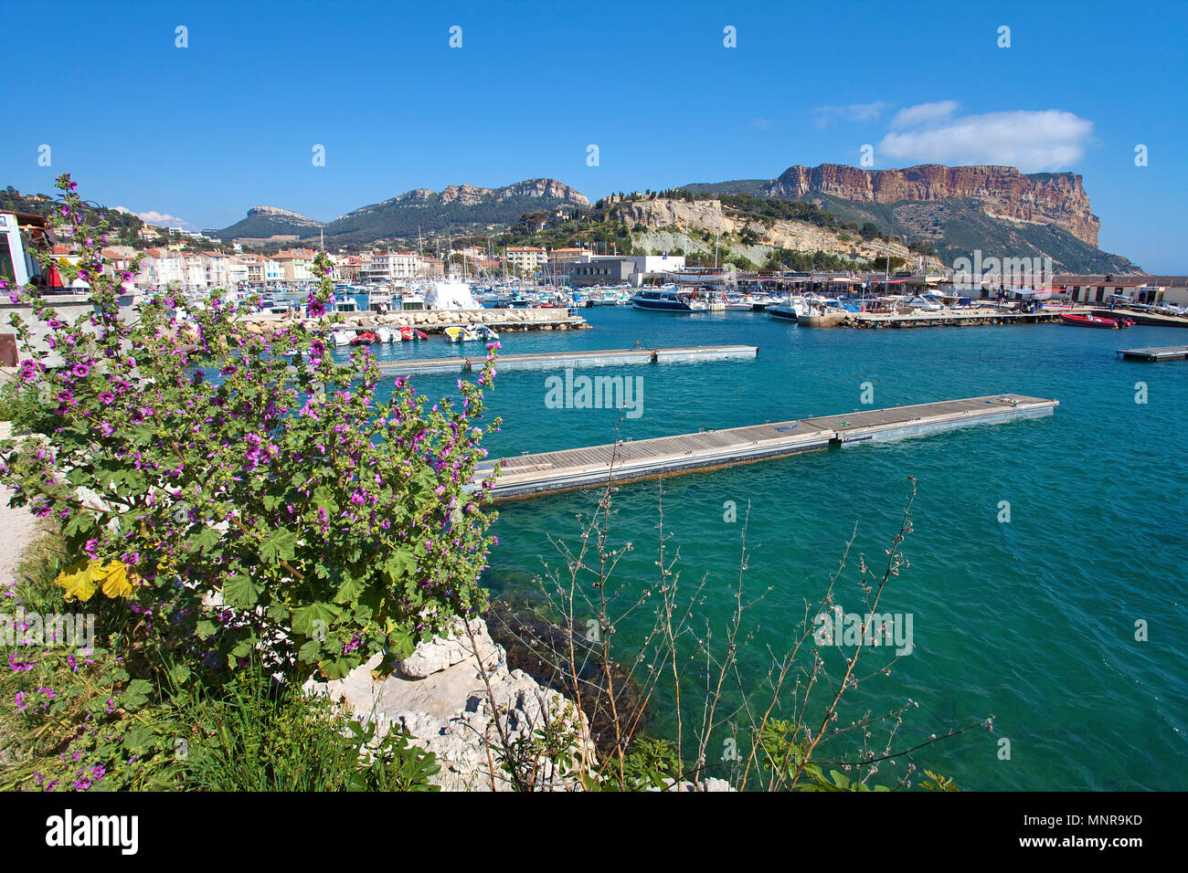 Hafen und Cap Canaille, Cassis, Bouches-du-Rhône der Region Provence-Alpes-Côte d'Azur, Südfrankreich, Frankreich, Europa Stockfoto