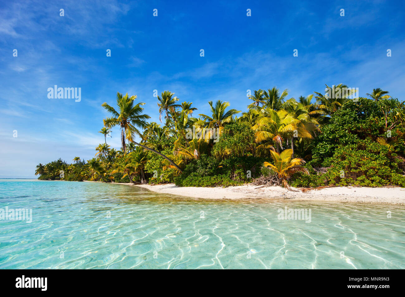 Atemberaubende tropische Insel mit Palmen, weißer Sand, türkises Meer Wasser und blauem Himmel in der Cook Inseln, Südpazifik Stockfoto