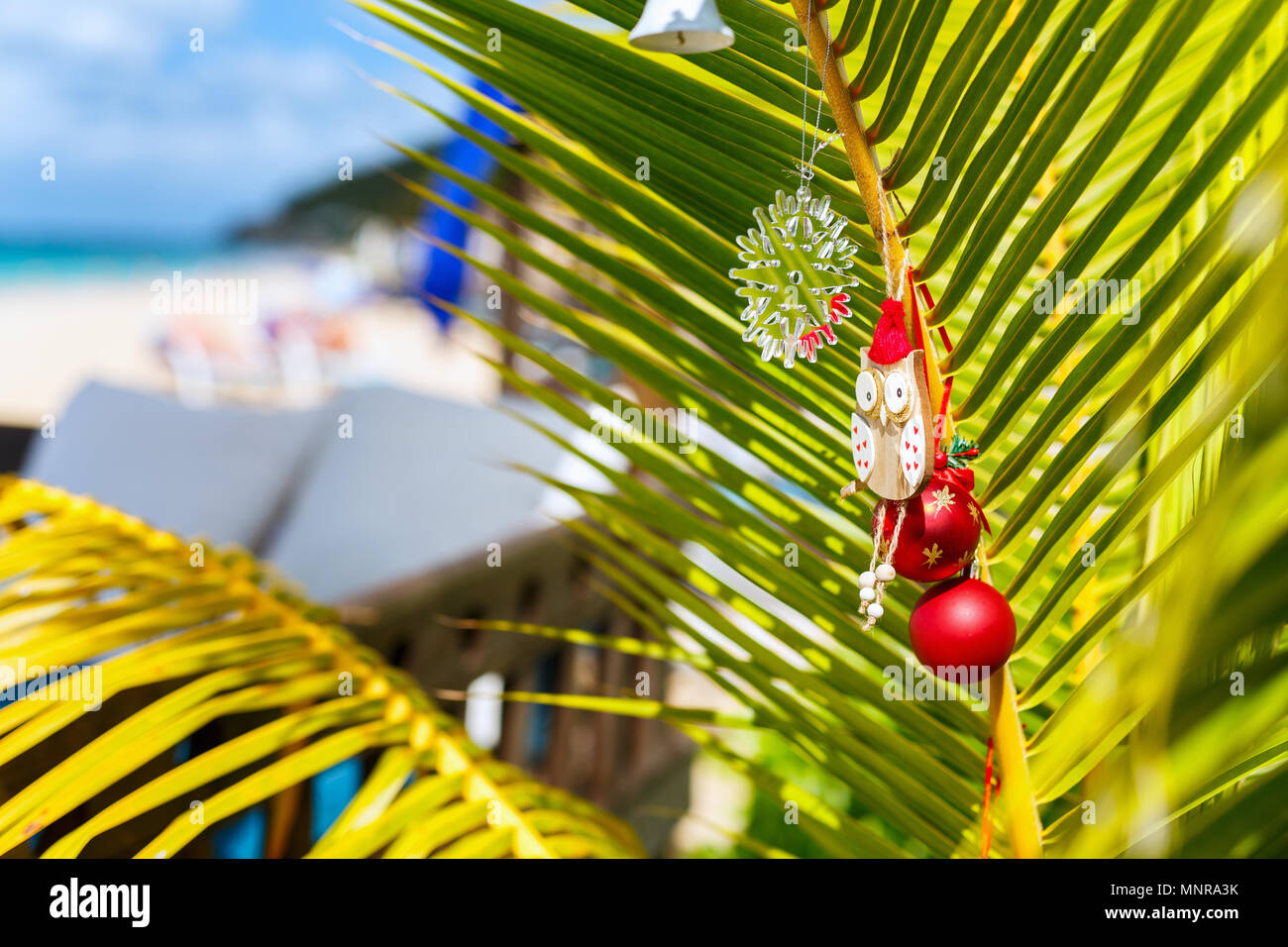 Idyllische tropische Karibik Strand mit Palmen für Weihnachten dekoriert Stockfoto